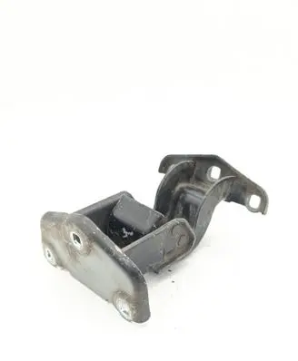 Rear door lower hinge