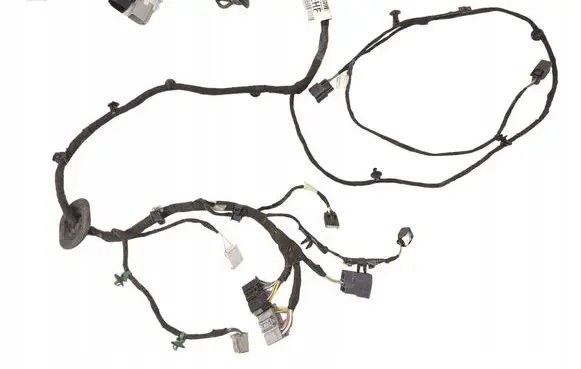 Ford Focus Other wiring loom