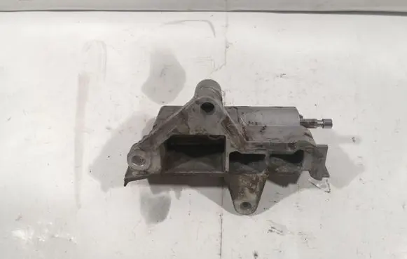 Volkswagen Sharan Timing belt/chain tensioner 045109479B