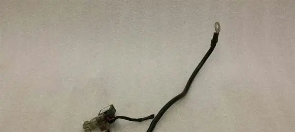 Mercedes-Benz E C207 W207 Negative earth cable (battery) A1665420418