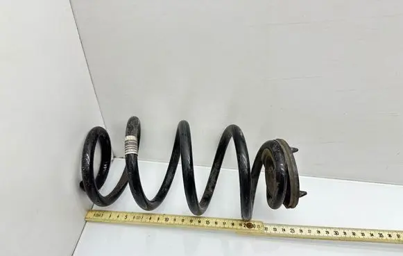 Rear coil spring
