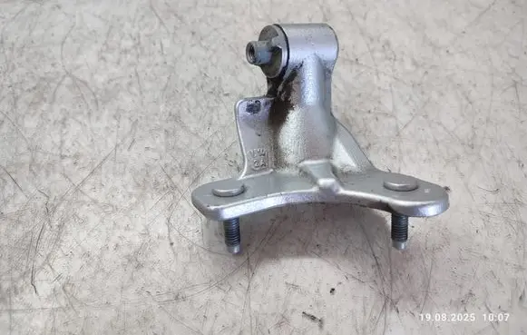 Rear door lower hinge