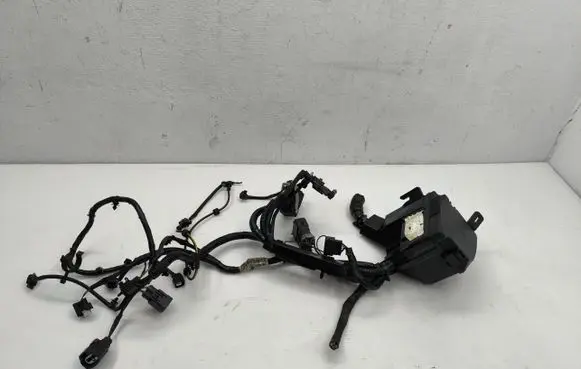 Ford Fiesta Other wiring loom E1BT-14K012