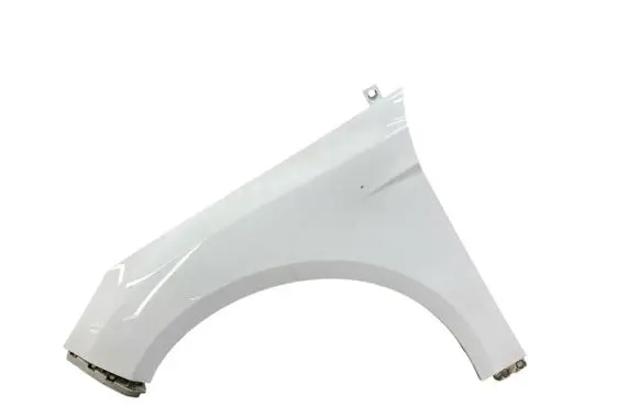 Ford Focus Fender