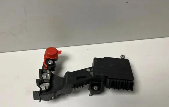 BMW X6 G06 Positive wiring loom 8736421