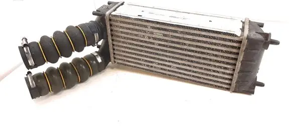 Peugeot 308 Intercooler radiator 9684212480