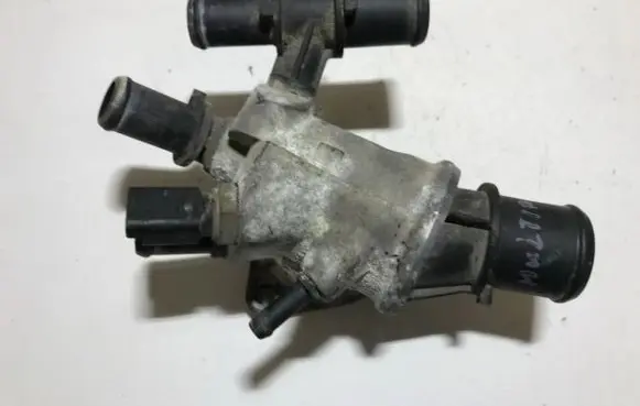 Fiat Multipla Engine coolant pipe/hose