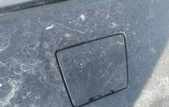 Rear bumper row hook cap/cover