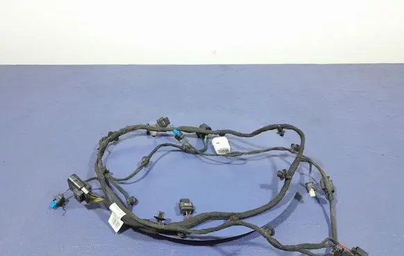 BMW X5 E53 Other wiring loom 8415674