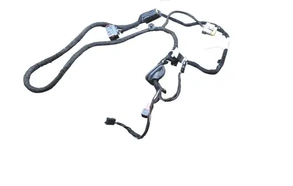 Front door wiring loom
