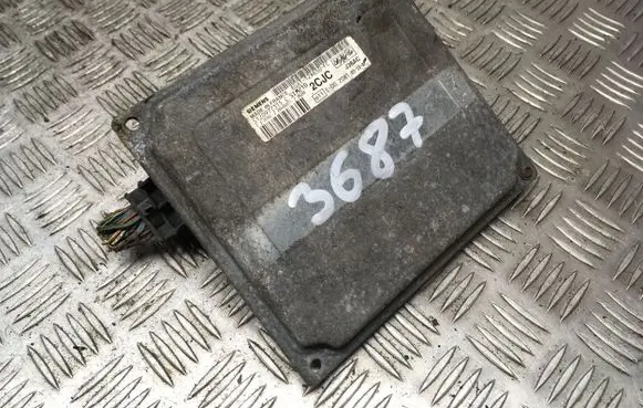 Ford Fiesta Engine control unit/module S118325001 S120977315 252456971