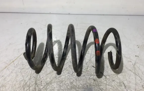 Front coil spring