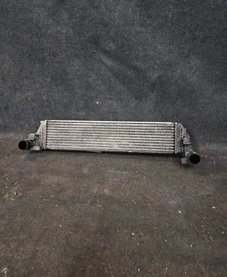 Renault Laguna II Intercooler radiator 