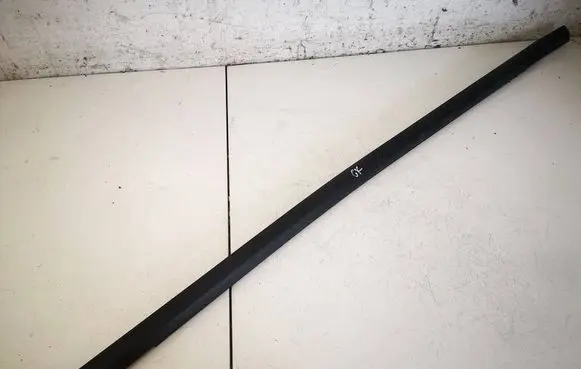 Ford Focus Rear door glass trim molding 