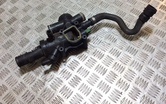 Thermostat/thermostat housing