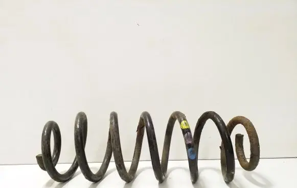 Volkswagen PASSAT B6 Rear coil spring