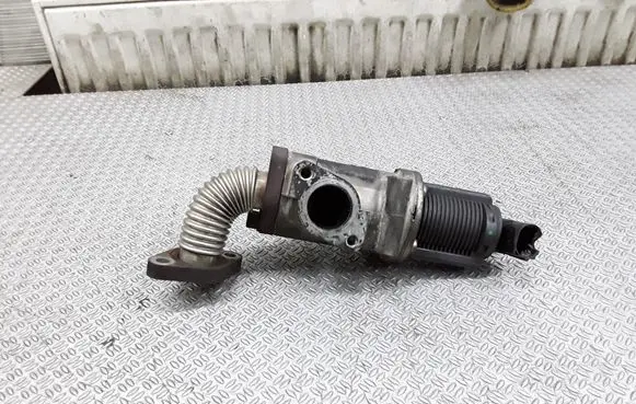 Opel Zafira B EGR valve 50024005