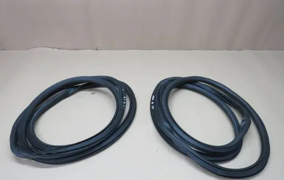 Opel Insignia B Front door rubber seal 