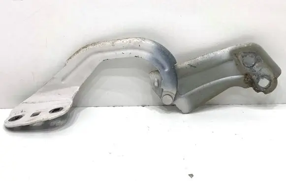 Ford Escape III Engine bonnet/hood hinges GJ54A16801AA