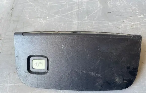 Tesla Model 3 Engine bonnet/hood lock trim molding 109585800D