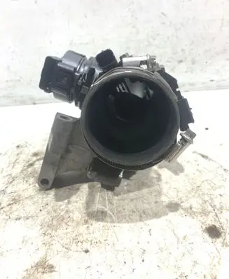 Citroen Berlingo Throttle valve 9660030580 25365286