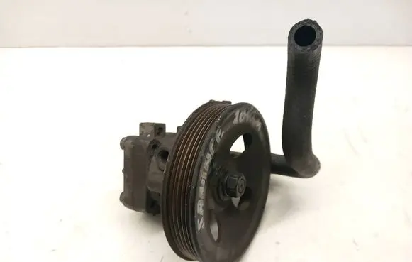 Hyundai Santa Fe Power steering pump