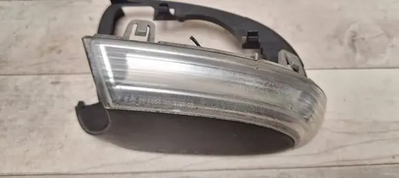 Volkswagen PASSAT B6 Mirror indicator light E1011654 011654