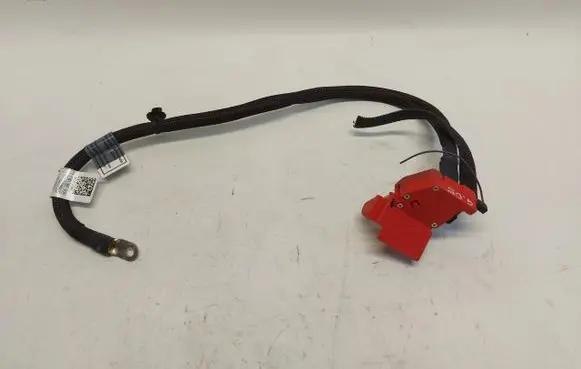 BMW X5 G05 Positive cable (battery) 8795483-JLK01