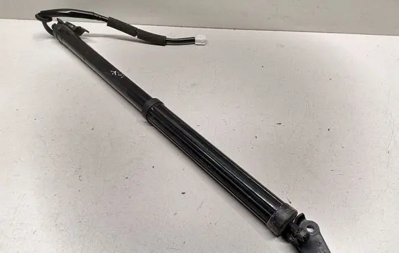 Tailgate/trunk strut/damper