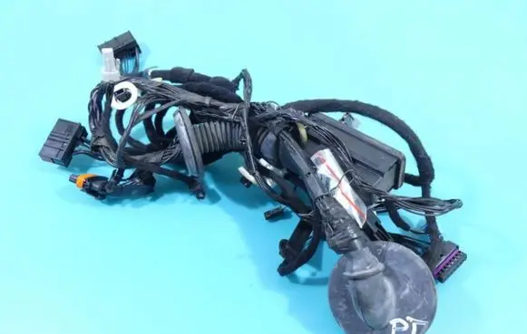 Rear door wiring loom