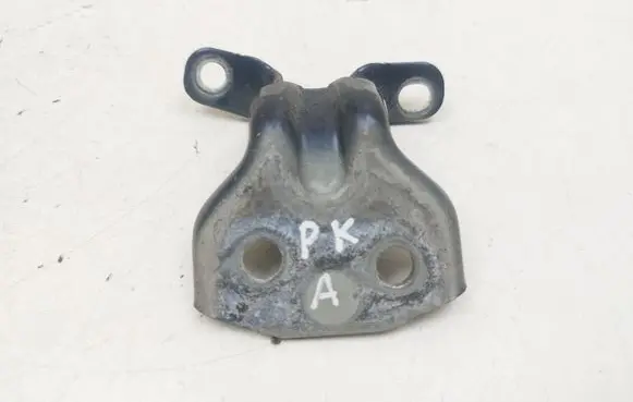 KIA Sorento Front door lower hinge 
