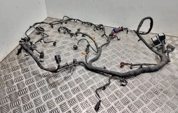 Ford C-MAX II Engine installation wiring loom J1DT12C508fad 13501373 ENG311008