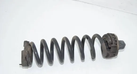 BMW 3 G20 G21 Rear coil spring 6898641 33536898641