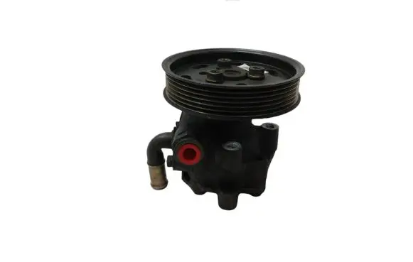 Volkswagen Golf IV Power steering pump 038145255A
