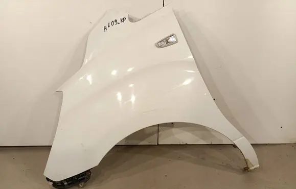 Hyundai H-1, Starex, Satellite Fender