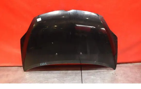 Engine bonnet/hood