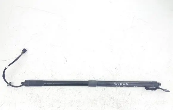 Ford C-MAX II Tailgate/trunk strut/damper AM51R404C84 AM51R404C84AG 021914