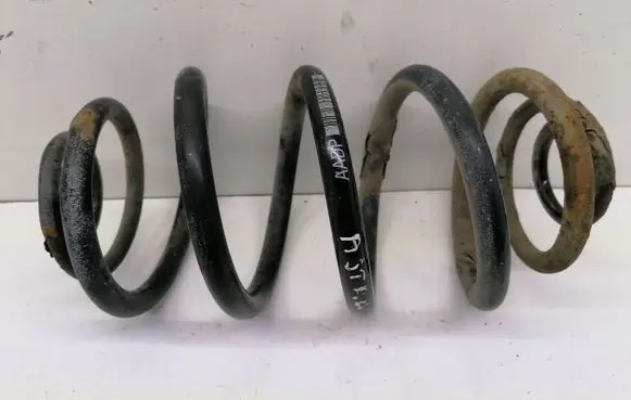 Rear coil spring