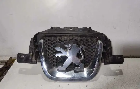 Peugeot 407 Front grill 9656437980