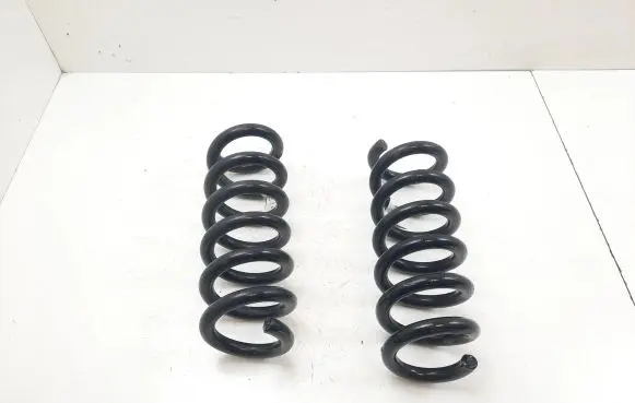 Rear coil spring