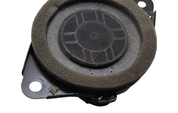 Lexus RX 450H Panel speaker 861600WV80 8924004601A