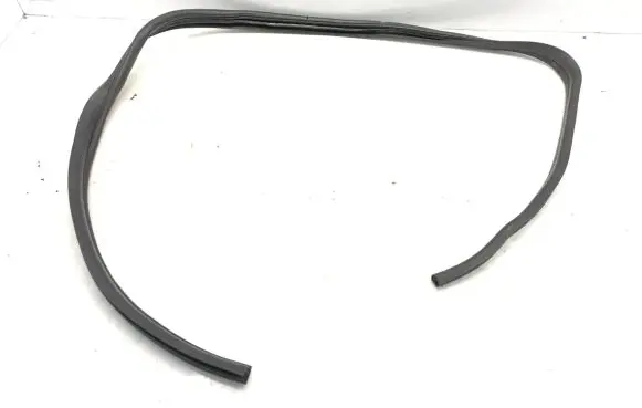 Renault Avantime Front door rubber seal 