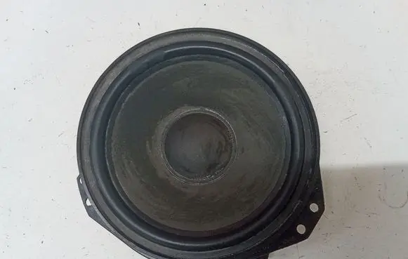 Front door speaker