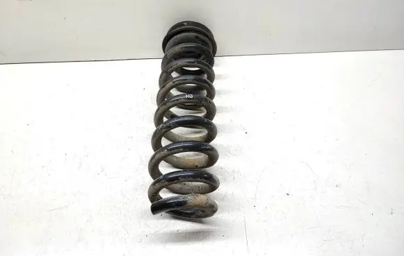 BMW X1 E84 Rear coil spring