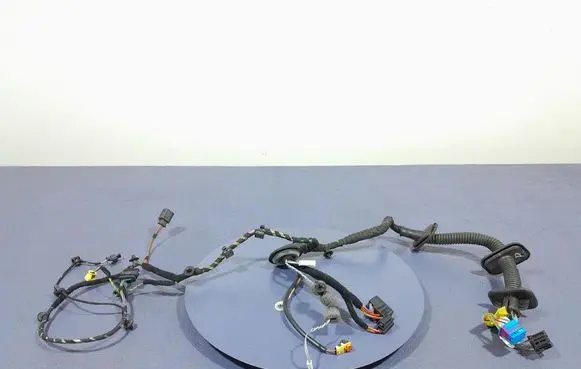Porsche Cayman 981 Other wiring loom 9P3971687