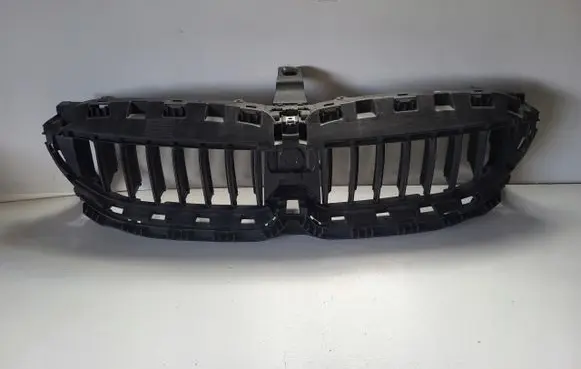 BMW 5 G30 G31 G38 Radiator trim