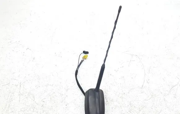Ford C-MAX II Radio antenna FM5T19G461 FM5T19G461BB AVP6A