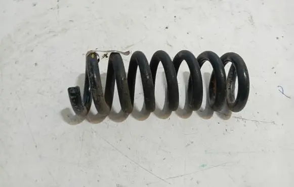 Dodge Challenger Rear coil spring 05181904AC