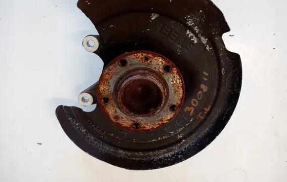 Peugeot 3008 II Rear wheel hub 17841482879