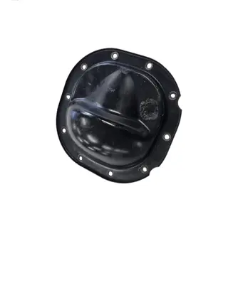Ford Mustang V Rear differential